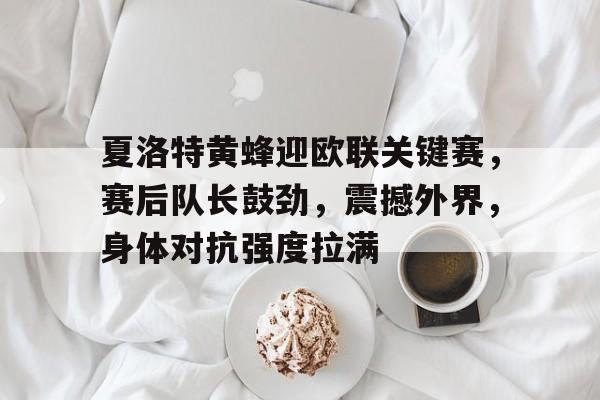 关于夏洛特黄蜂迎欧联关键赛,赛后队长鼓劲,震撼外界,身体对抗强度拉满的信息-开云官方网站